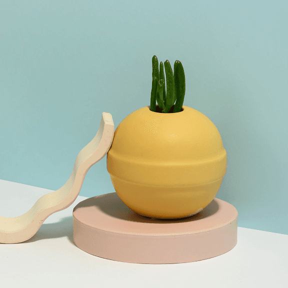 candy flowerpot